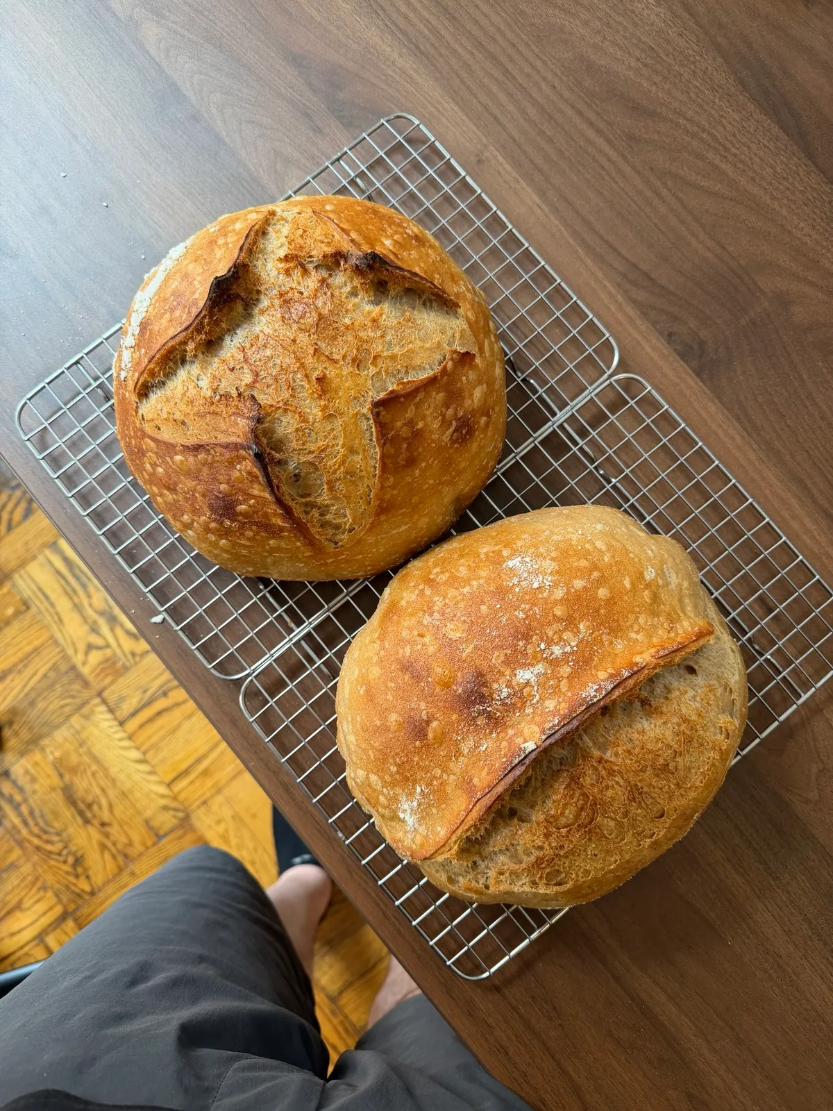 Bake from Jul 13, 2026