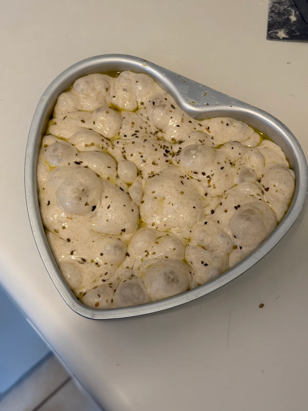 Bake from Feb 13, 2026