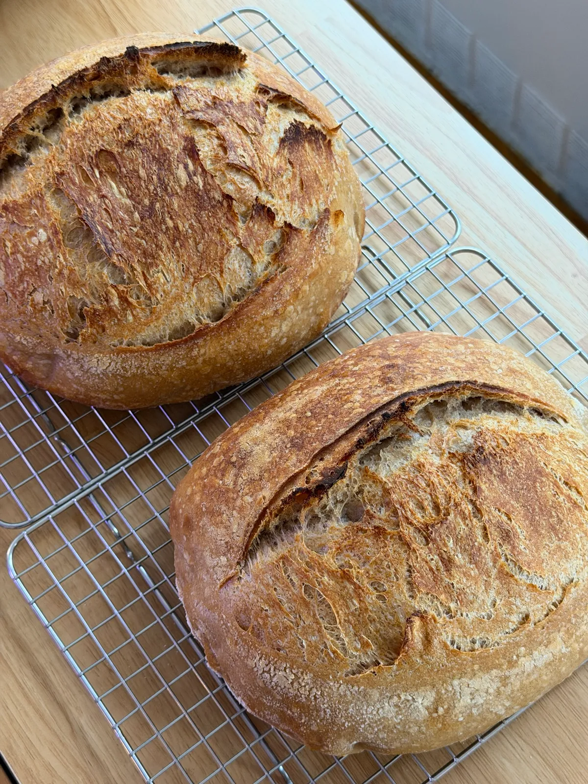 Bake from Aug 26, 2026