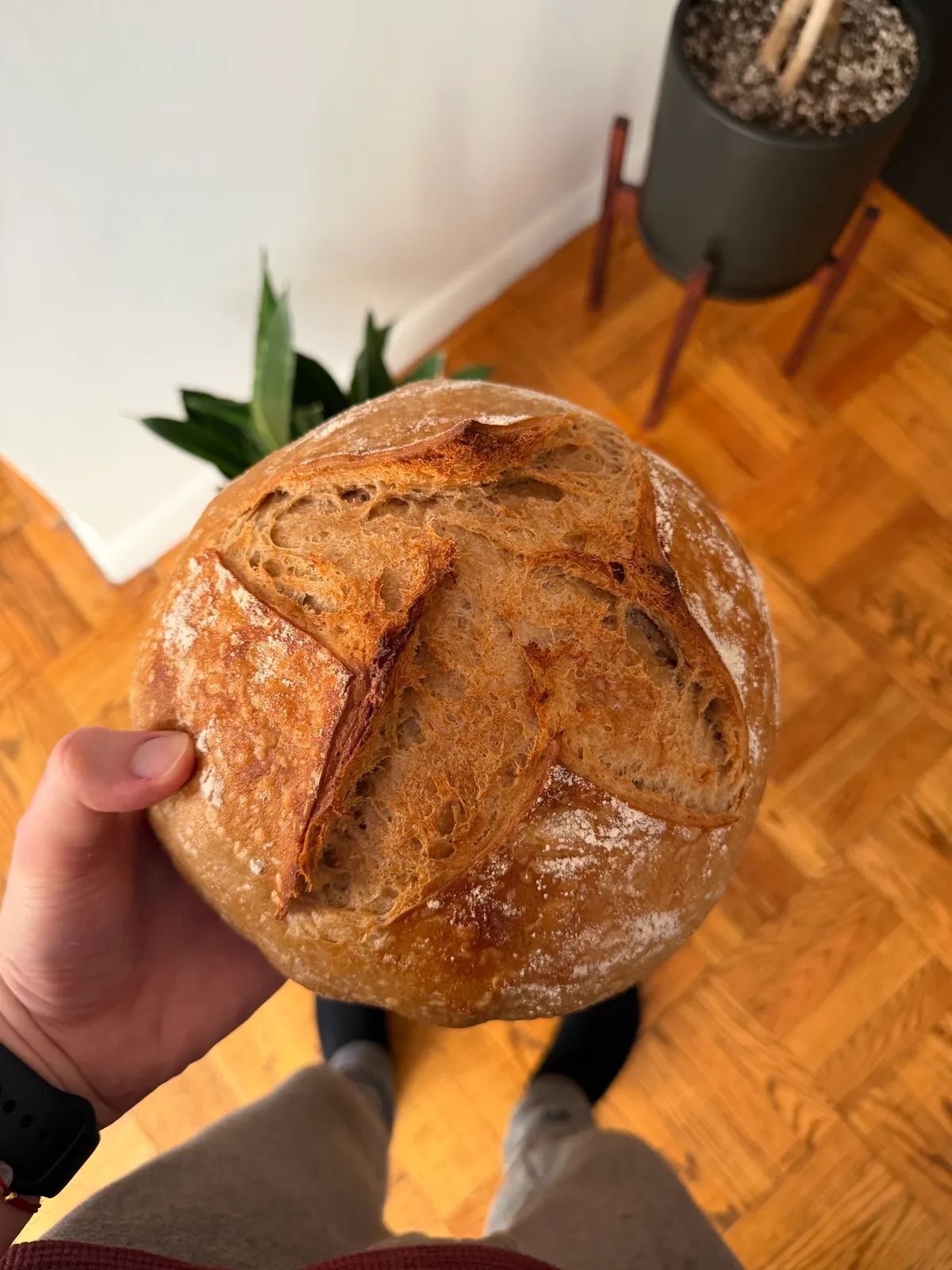 Bake from Feb 12, 2026