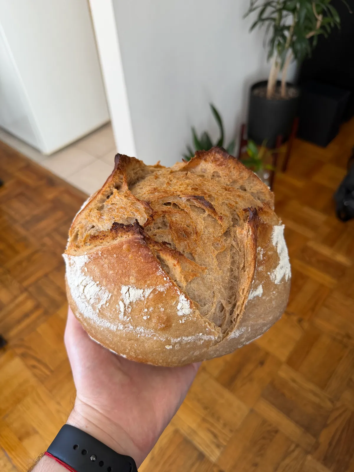 Bake from Jun 3, 2026