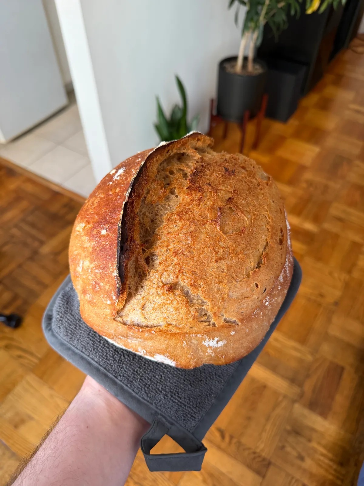 Bake from May 15, 2026