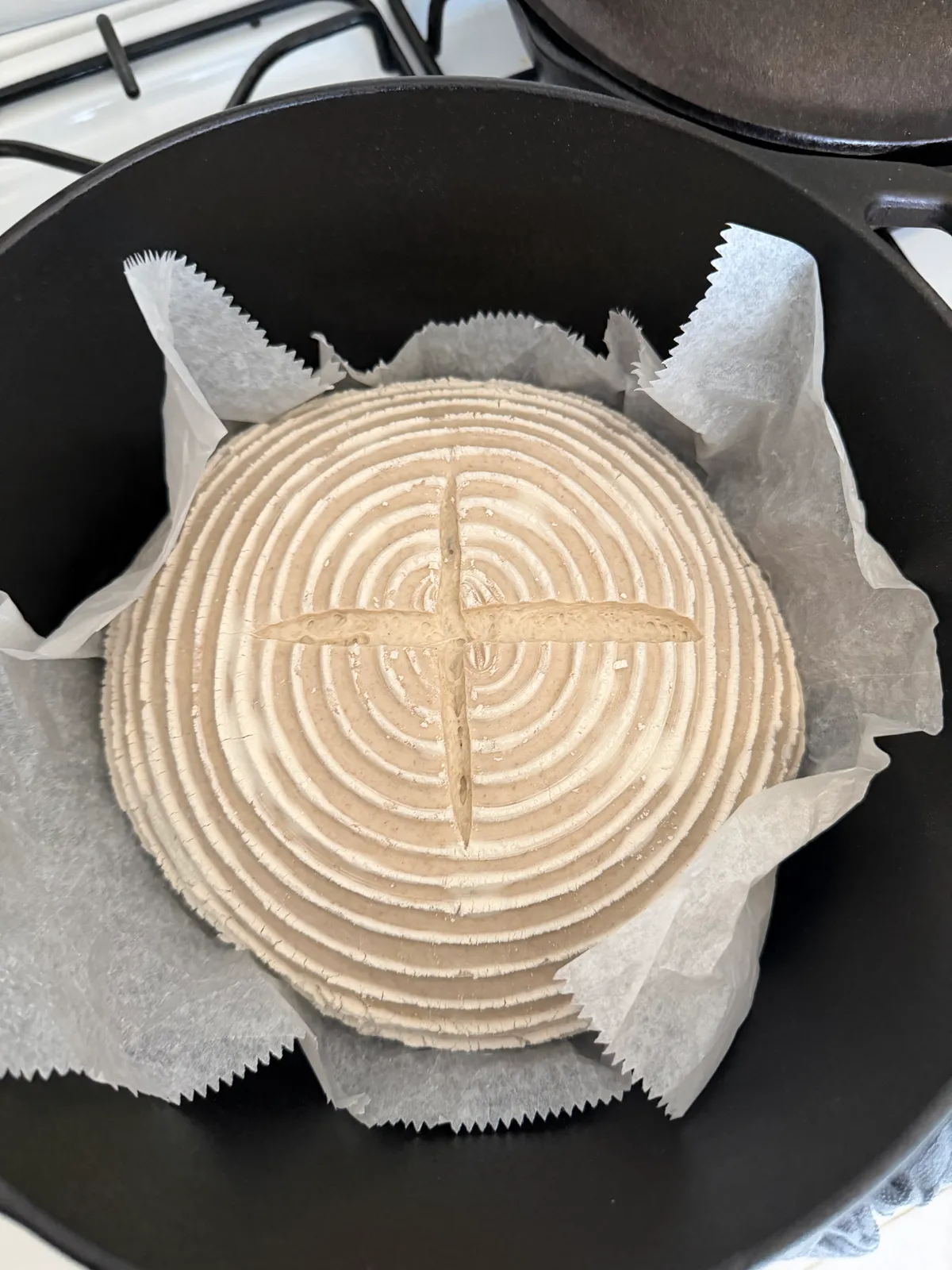 Bake from Feb 26, 2026