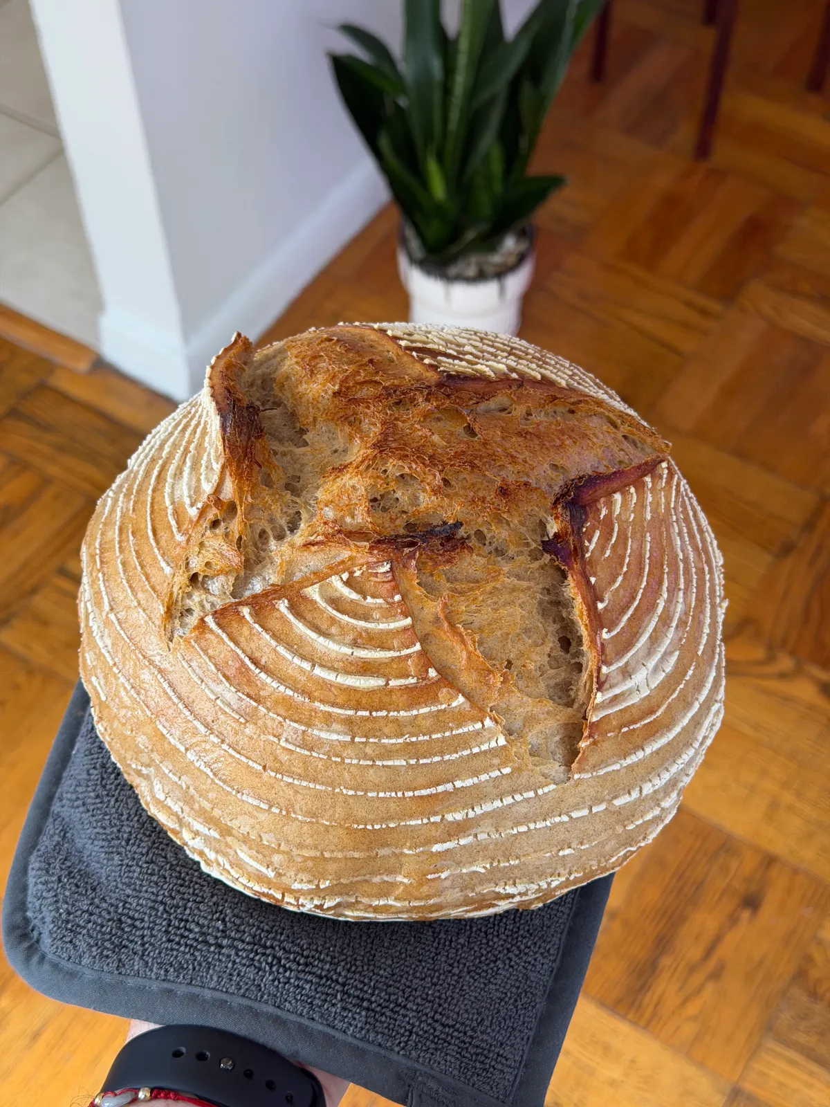 Bake from Feb 26, 2026