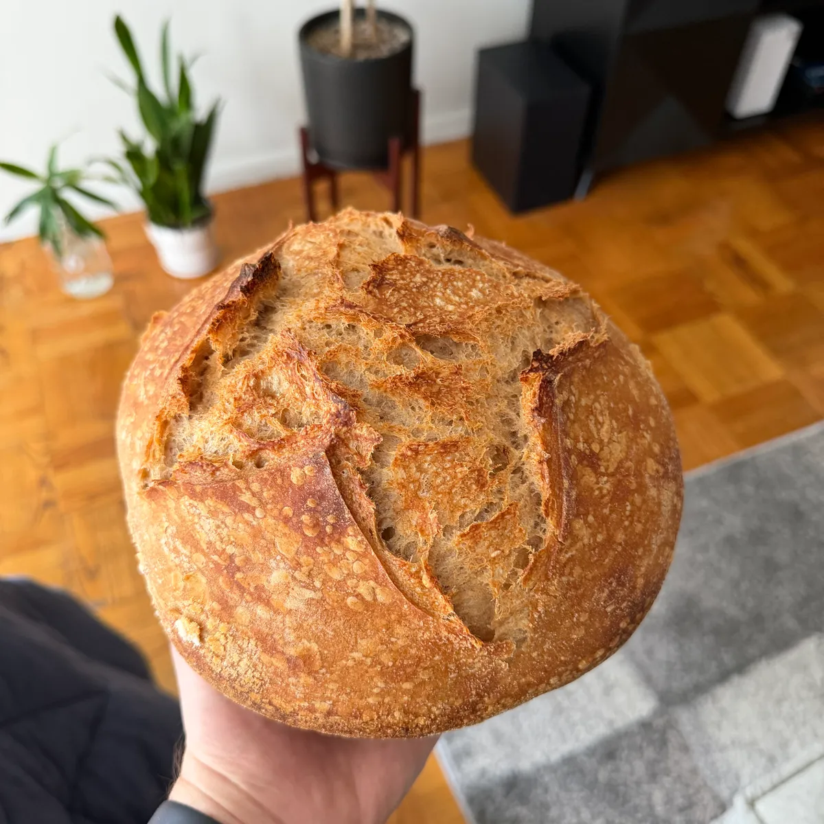 Bake from Jun 25, 2026