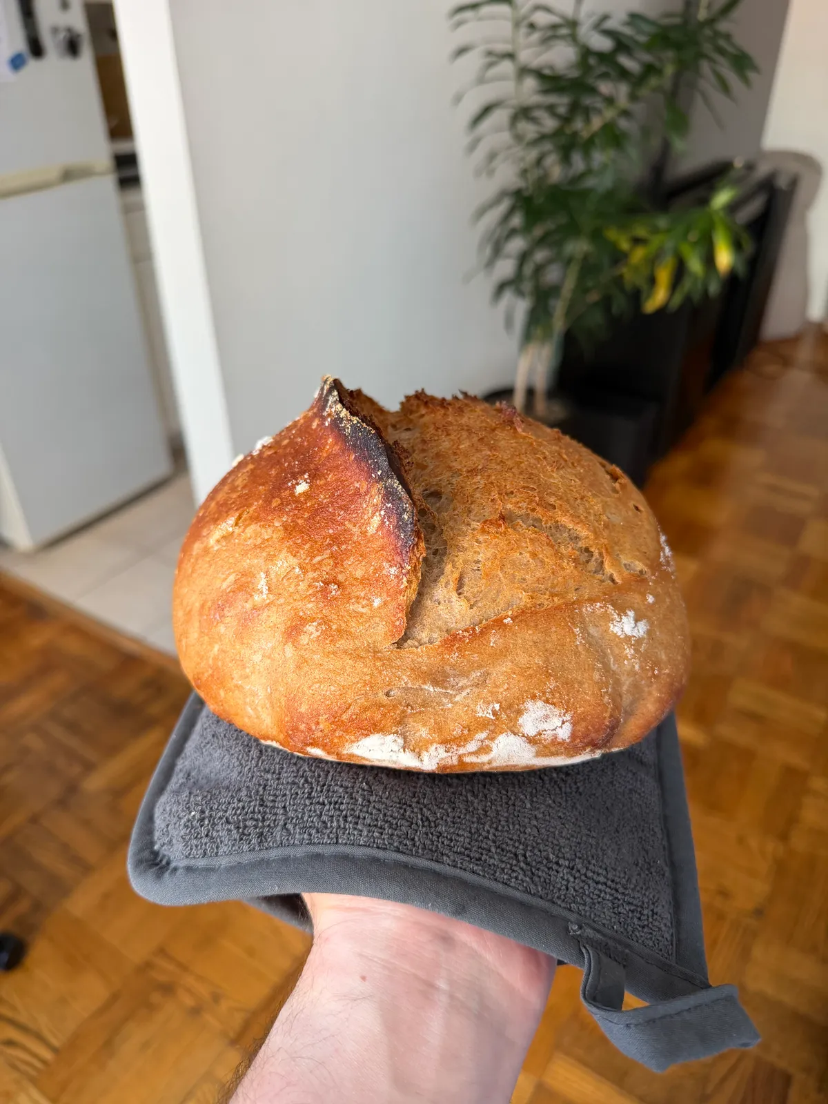 Bake from May 15, 2026
